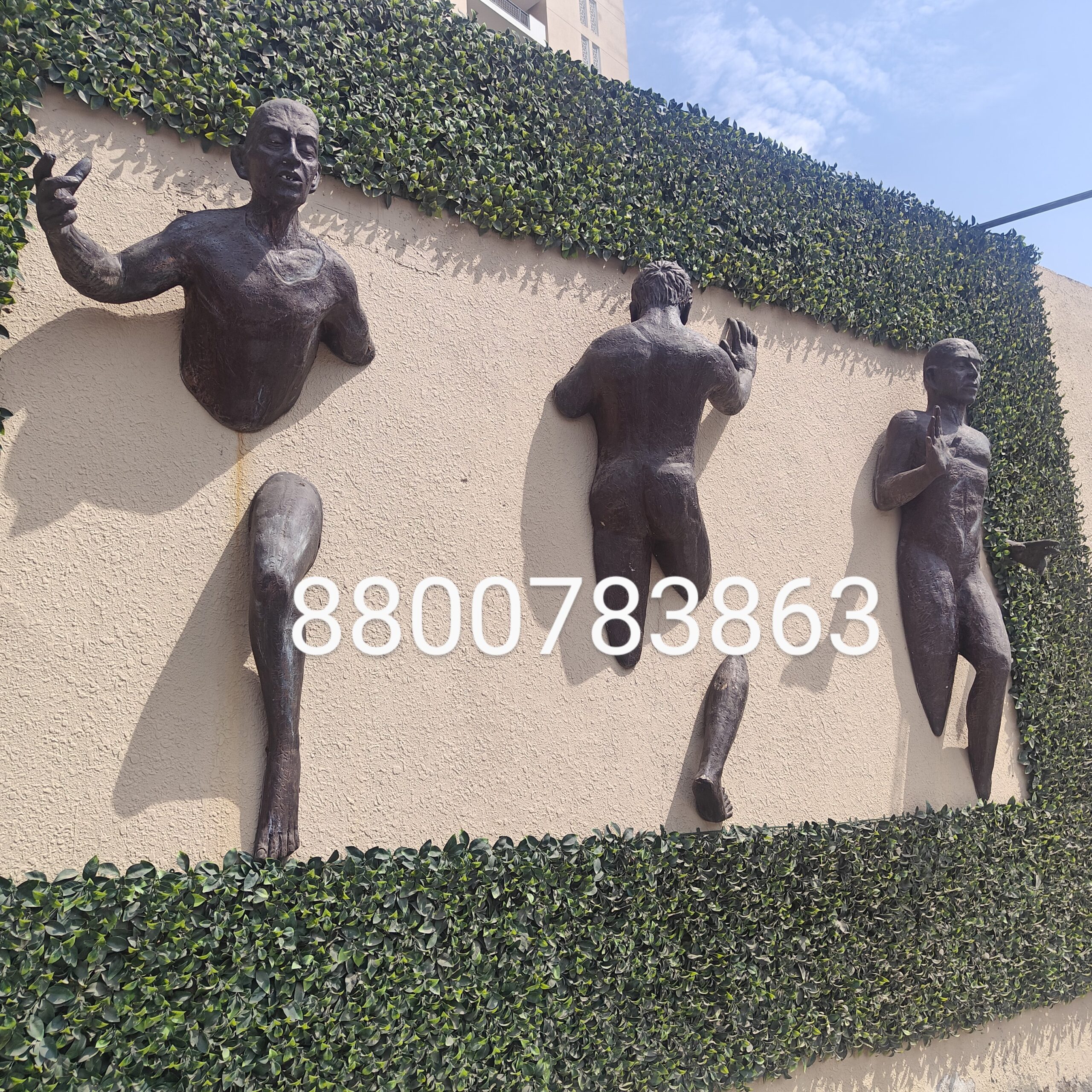 IMG20240306131108~2