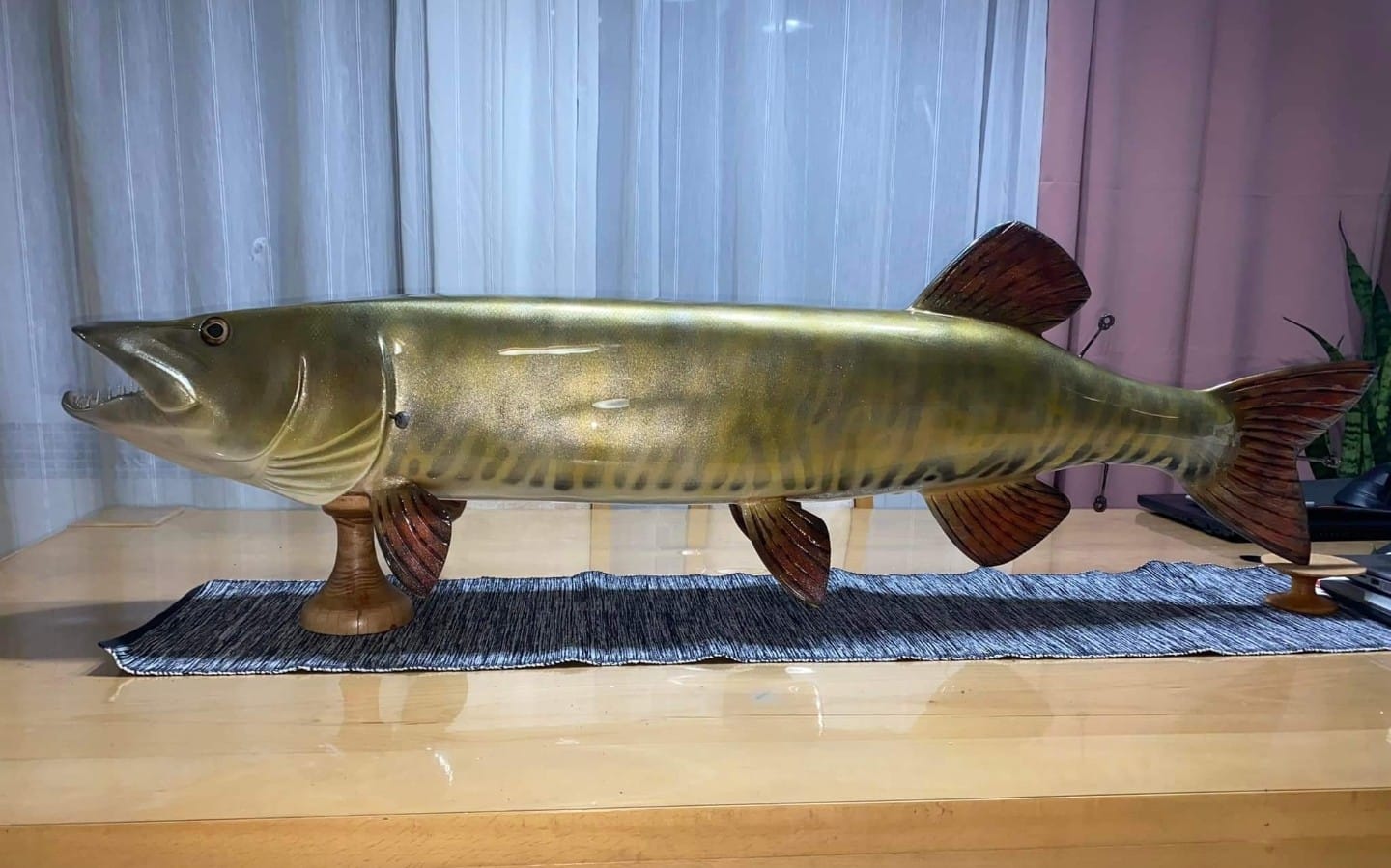 IMG-20241021-WA0103